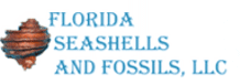 (image for) Florida Seashells and Fossils